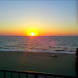 Meet your Posher, George